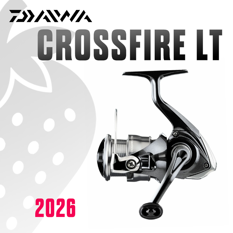 Moulinet de pêche DAIWA 2026 C - Daiwa Reel Bg avis et prix
